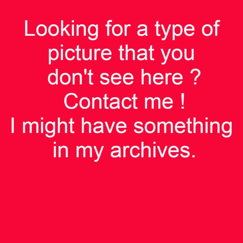 Looking for a picture?